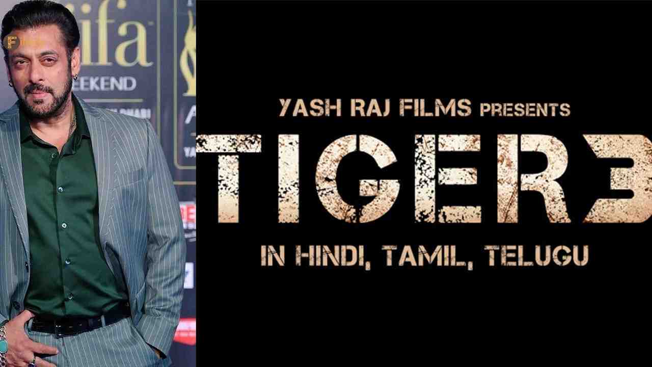 Tiger 3 Climax: Sallu Bhai and Bollywood's Biggest Finale Ever