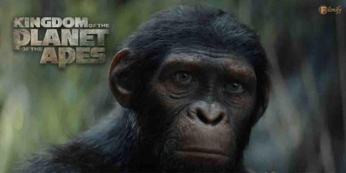 Record-Breaking Day 1 Collection for ‘Kingdom of the Planet of the Apes