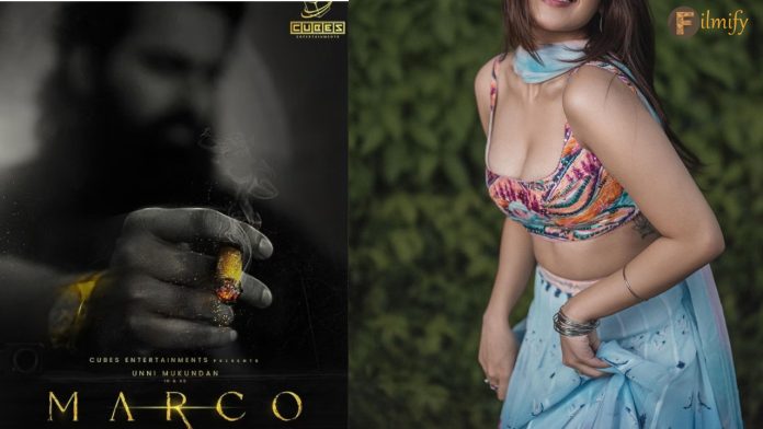 Unni Mukundan's Marco Feamle Lead is THIS Telugu actress
