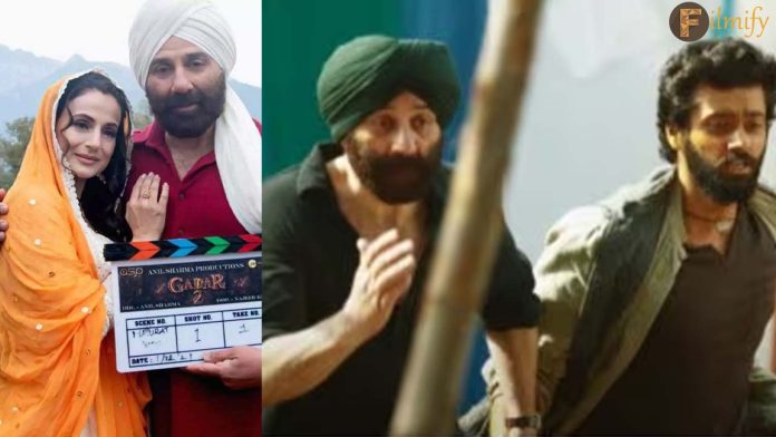 Gadar 2 Helped Bollywood shares this Director: Sunny Deol Signs With Ameesha Patel For 3 Projects