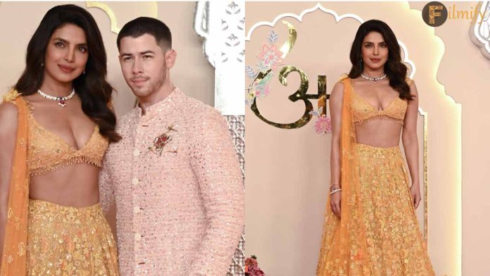 Nick Jonas's gesture for Priyanka Chopra gets applauded