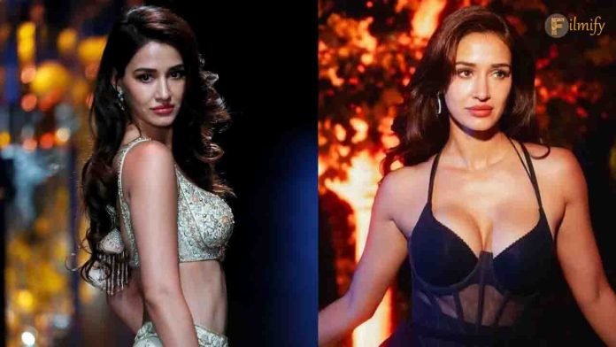 Disha Patani in Big Projects, with no scope of role. Here's why