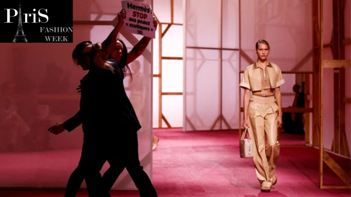 Paris Fashion Week: The show gets interrupted by peta animal rights activist